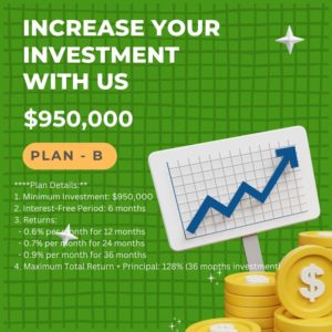 ### Plan B:
- **Suitable for Investors Seeking Moderate Returns**
  
**Plan Details:**
1. Minimum Investment: $2,000,000
2. Interest-Free Period: 6 months
3. Returns:
   - 0.6% per month for 12 months
   - 0.7% per month for 24 months
   - 0.9% per month for 36 months
4. Maximum Total Return + Principal: 128% (36 months investment)
